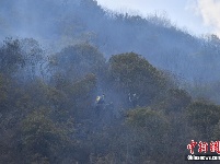 云南昆明城郊发生山火