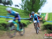 贵州湄潭：海内外自行车选手“茶海”竞技