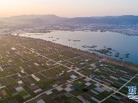云南通海：春日田园美如画