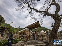 湖北远安：贫困村变身休闲民宿旅游村