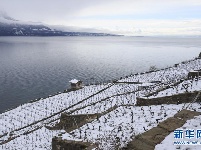 瑞士拉沃春雪