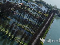 武汉东湖绿道进行军运会赛道测试