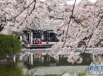 春到太湖