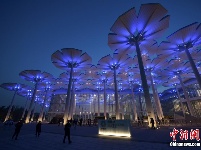 国际馆“花海”点亮北京世园会夜空
