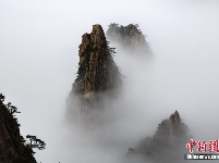 安徽黄山现云海日出 云浪滚滚金辉熠熠