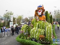 花车巡游精彩纷呈