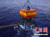 深海7000米 “揭秘”超深渊食物链顶端的狮子鱼