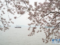 春到太湖