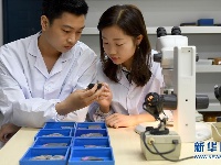 科学家发现寒武纪“化石宝库”清江生物群纪实