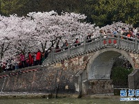春到太湖