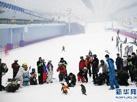 南极企鹅“游逛”室内滑雪场