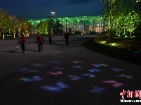 国际馆“花海”点亮北京世园会夜空