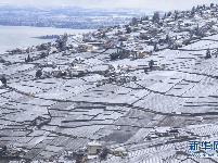 瑞士拉沃春雪