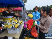浙江湖州：志愿者倡导“清明”文明祭扫