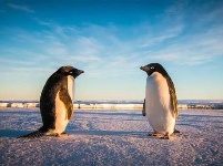 南极科考队员讲述极地挑战500天 展示极地奇观 呼吁保护地球