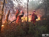 昆明龙池山发生森林火灾 350余人参与扑救
