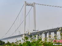 “超级工程”南沙大桥（虎门二桥项目）正式通车