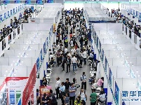 第十七届中国国际人才交流大会在深圳举行