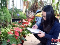 北京最“古老”植物温室即将全新开放 首展4种猴面包树