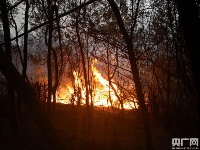 昆明龙池山发生森林火灾 350余人参与扑救