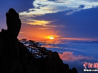 安徽黄山现云海日出 云浪滚滚金辉熠熠