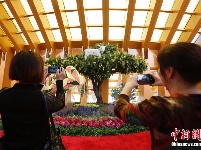 世园会正式对公众开放 市民畅游中国馆