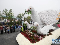 花车巡游精彩纷呈