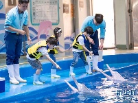 第二届中华白海豚保护宣传日在珠海长隆启动