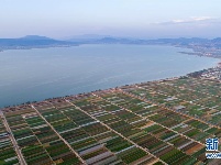 云南通海：春日田园美如画