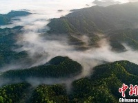 绝美！航拍江西武宁云雾漫山飘 乡村好妖娆