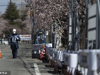 日本巴士时隔9年再驶入福岛隔离区樱花大道