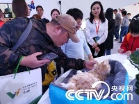 武汉：仿真猫亮相世界大健康博览会 萌翻众人