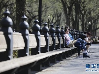 纽约中央公园“探春”