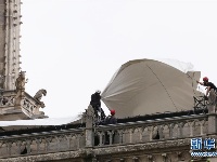 巴黎圣母院紧急安装防雨装置