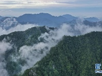 陕西略阳雨后初霁 森林公园美若仙境