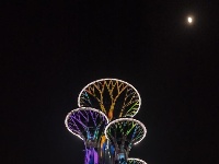 “空间光影秀”迎盛会