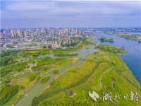 襄阳月亮湾公园：湿地如画城中绘