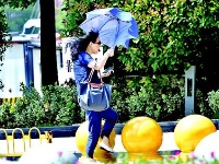 冷空气过境江城 大风吹了一整天