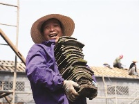 仙桃 一场美丽的乡约