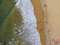 青岛金滩银浪绿海交相辉映 绮丽浪漫令人沉醉