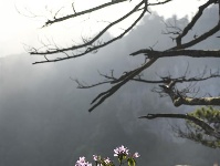 陕西略阳雨后初霁 森林公园美若仙境