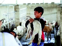 “荆楚楷模”5月上榜人物事迹撷英:：他们舒展着最美的生命之姿