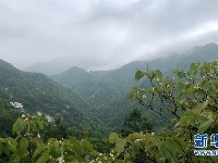 黄冈龙潭河谷：幽深险秀 怪石嶙峋