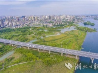 襄阳月亮湾公园：湿地如画城中绘