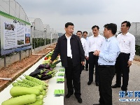 习近平深入赣南老区考察调研