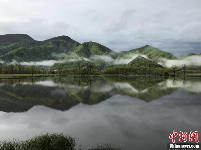 神农架大九湖 晨雾缥缈处清丽水云间