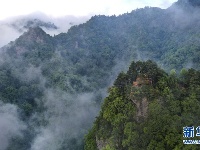 陕西略阳雨后初霁 森林公园美若仙境
