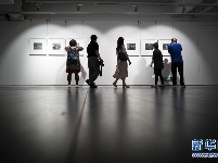 “大时代·大写意——杨发维摄影作品展”在武汉举行