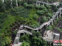 重庆现“魔鬼归家路” 市民回家先爬山