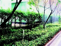 湖北节水成绩单：万元GDP用水量16年降近九成